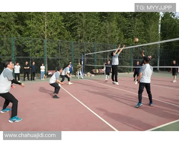 南京排球队在全国排球速度排行榜中荣获第五名的佳绩引发热议