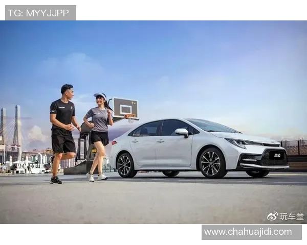 南京网球队在洲际杯积分榜中以73分稳居第一名展现强劲实力