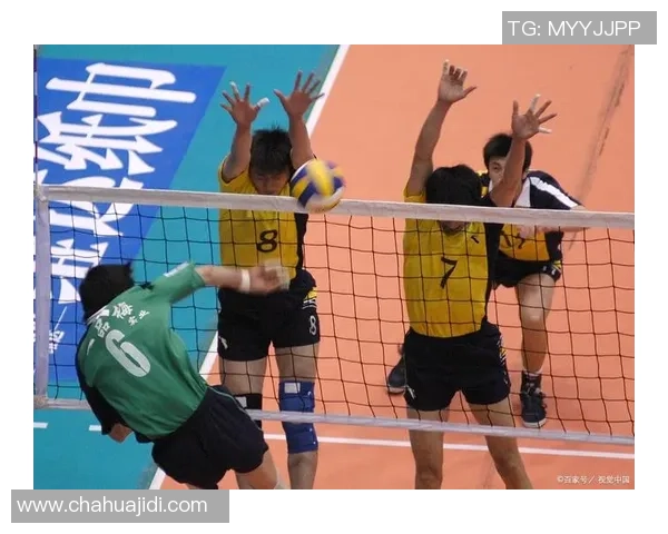 杭州排球队的节奏与风采探秘：排球运动的魅力与团队精神